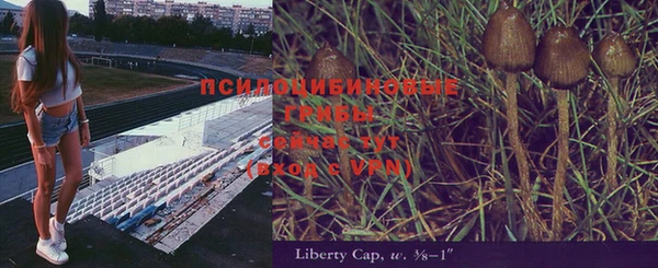 гидропоника Михайлов