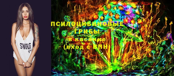 МДПВ Михайловск