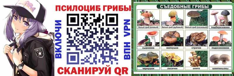 где купить наркоту  Константиновск  Галлюциногенные грибы Psilocybine cubensis 